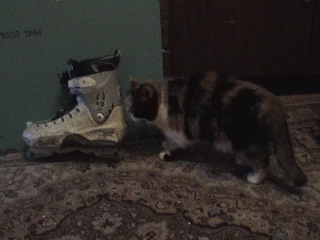 потенциальный покупатель