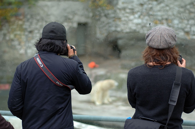 Valo в зоопарке