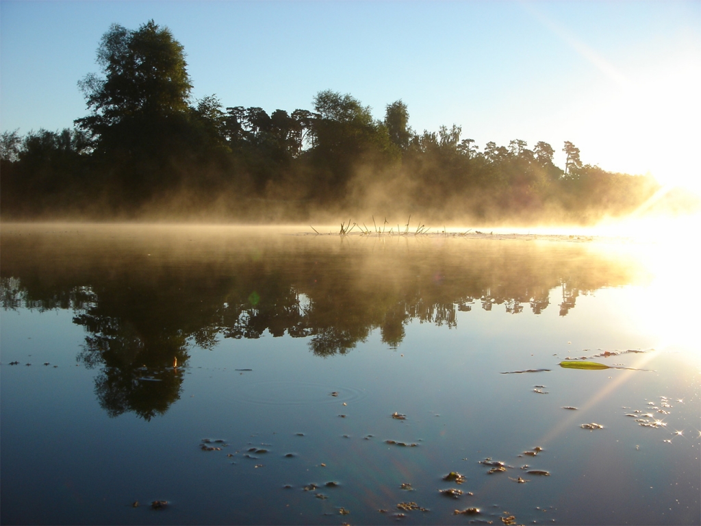серебряный бор рано утром...