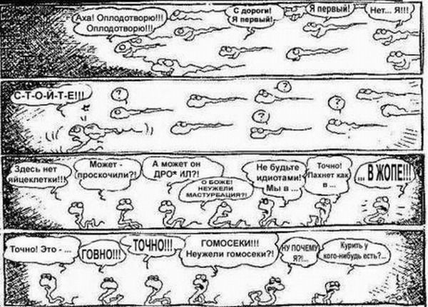 вторая правда