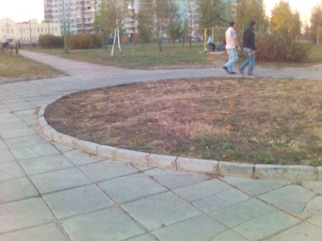 А вот та самая клумба,мать её