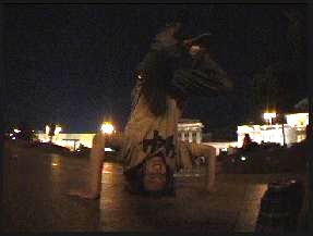 Суслик на голове