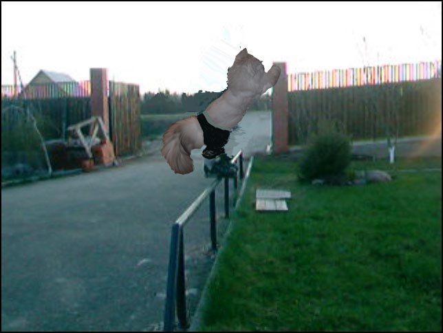 Мой кот жжет=)