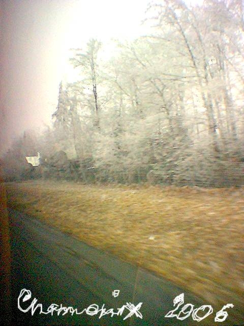 фото с плохой камеры на телефоне(