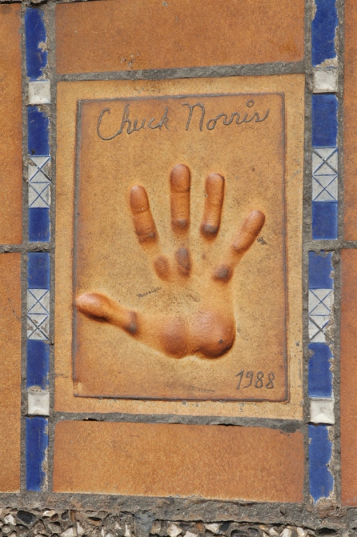 отпечаток ладони самого Чака Норриса! лол)))