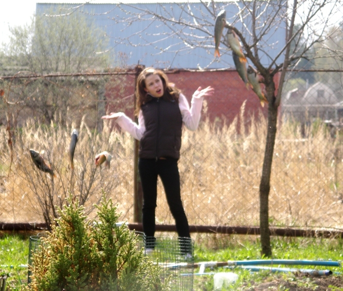 возможно ли