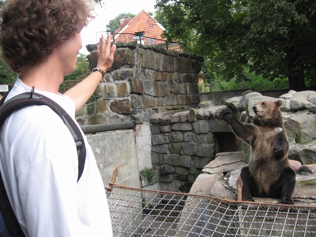 превед медвед