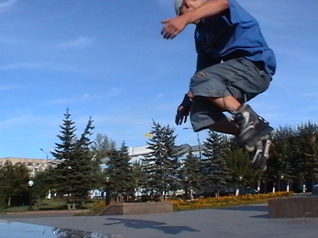 p-pavlovsk cocks (Kazakhstan)