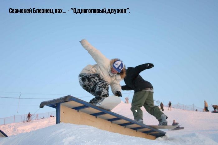 сеамскей блезнец