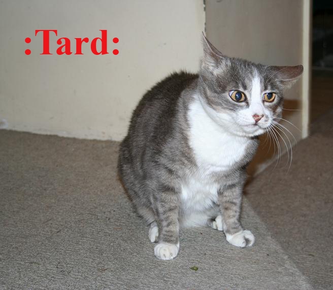 tard