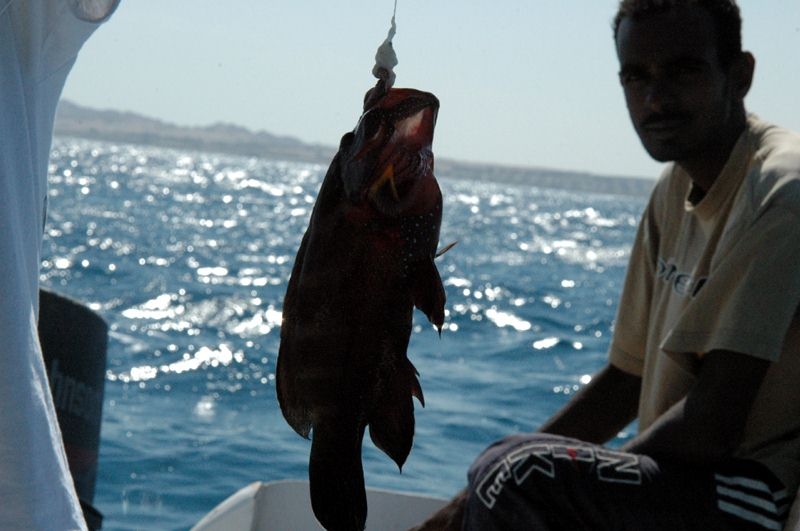 Ловись рыбка...