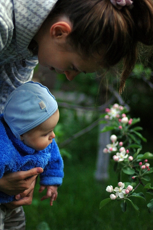 Гриша и цветок