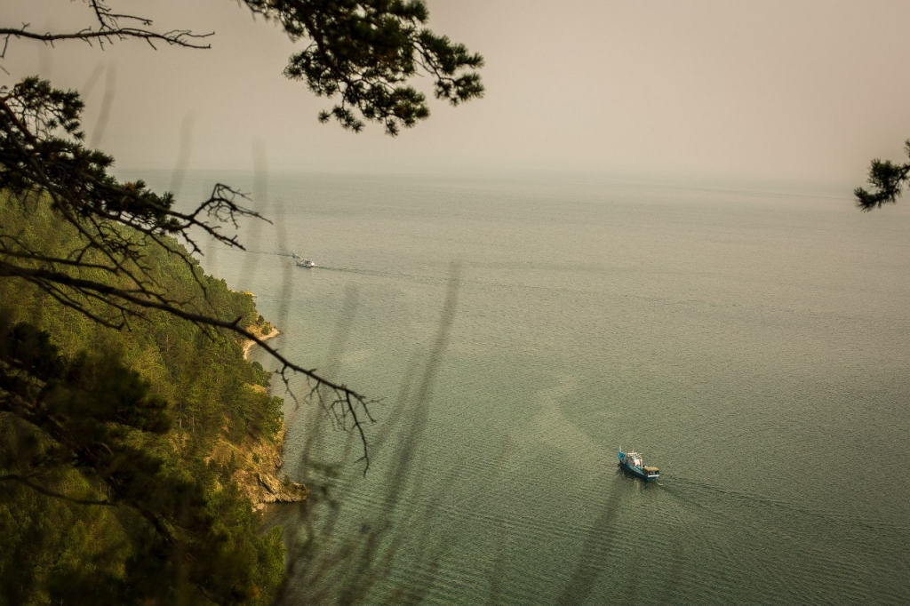 COMMUNITY в Иркутске